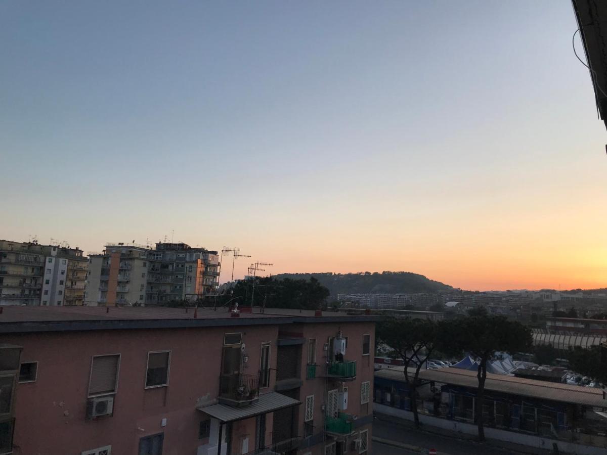 Cassiodoro 8